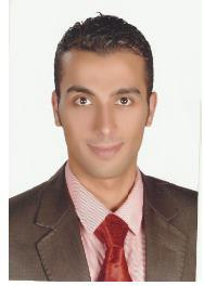 Mohamed Fouad El-sherbiny El-sayed